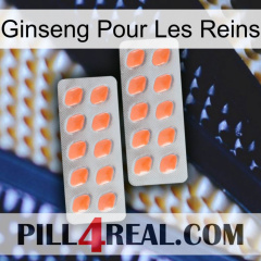 Ginseng For Kidney 27